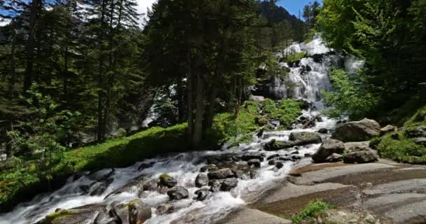 Der Gaube Wasserfall Pont Espagne Cauterets Hautes Pyrenees Frankreich — Stockvideo