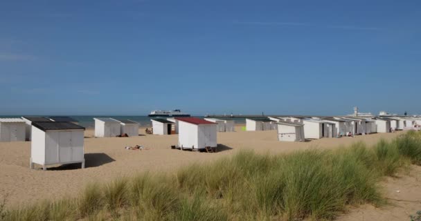 Кале Пляж Департамент Пас Кале Франція — стокове відео