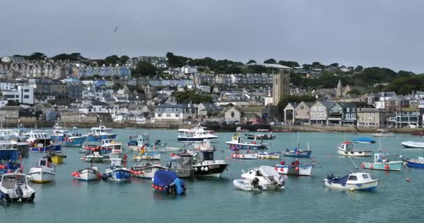Puerto Pesquero Ives Cornwall Inglaterra Reino Unido — Vídeo de stock