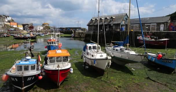 Mevagissey Balıkçı Limanı Corwall Ngiltere Ngiltere — Stok video