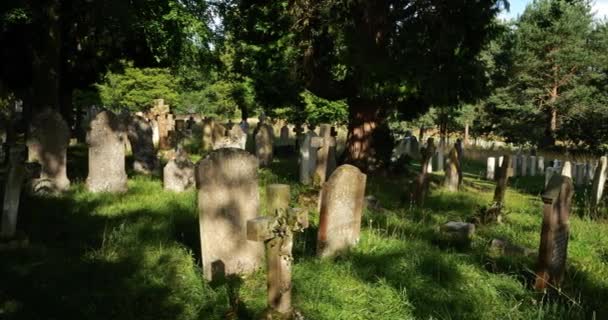 War Cemetery Nicholas Church Brockenhurst Hampshire England — Stock video