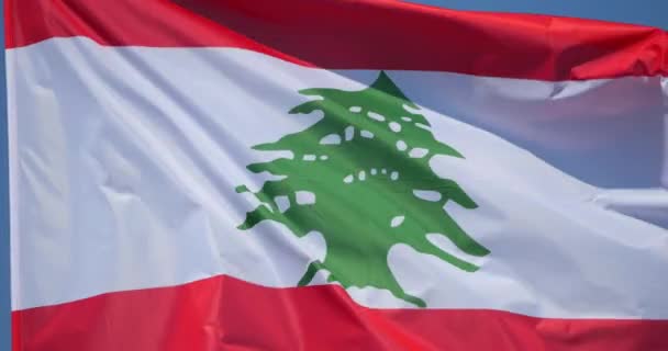 Nationalflagge Des Libanon Wind — Stockvideo