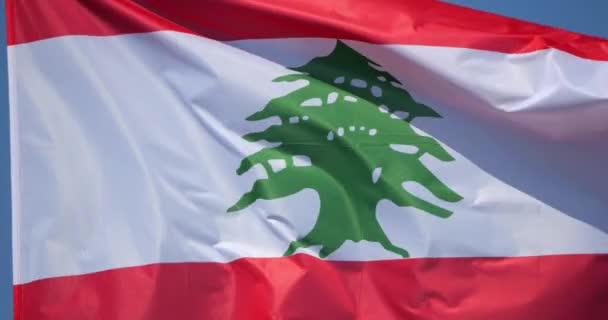 風の中のレバノンの国旗 — ストック動画