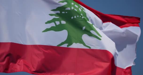 Libanon Nemzeti Zászló Szélben — Stock videók