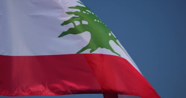 Державний Прапор Лівану Вітрі — стокове відео