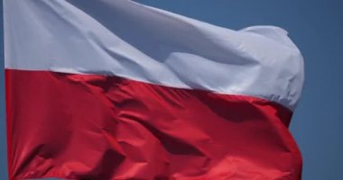 Ulusal Polonya bayrağı rüzgarda sallanıyor.