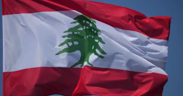 Libanons Nationella Flagga Vinden — Stockvideo
