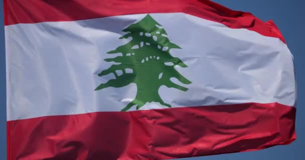 Bandiera Nazionale Del Libano Vento — Video Stock