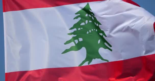 Drapeau National Liban Dans Vent — Video