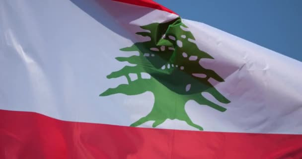 Bandeira Nacional Líbano Vento — Vídeo de Stock