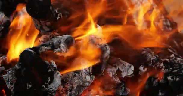 Вогнище Дровами Полум — стокове відео