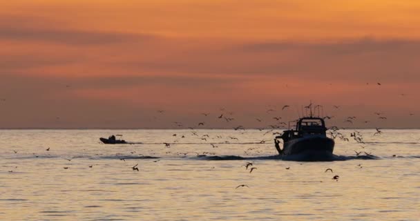Vissersboot Die Bij Zonsondergang Terugkeert Naar Haven Frankrijk — Stockvideo