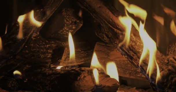 Костер Дровами Пламенем — стоковое видео
