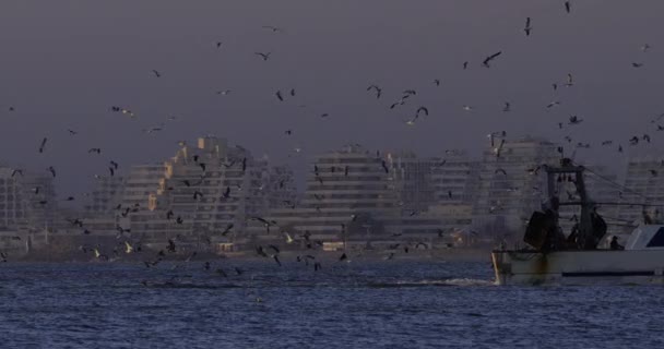 Fiskebåt Kommer Tillbaka Till Hamnen Vid Solnedgången Frankrike Bakgrunden Ligger — Stockvideo