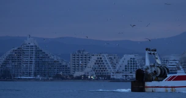 Vissersboot Komt Terug Naar Haven Bij Zonsondergang Frankrijk Achtergrond Grande — Stockvideo