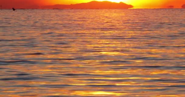 フランス南部のカマルグの水に沈む夕日 — ストック動画