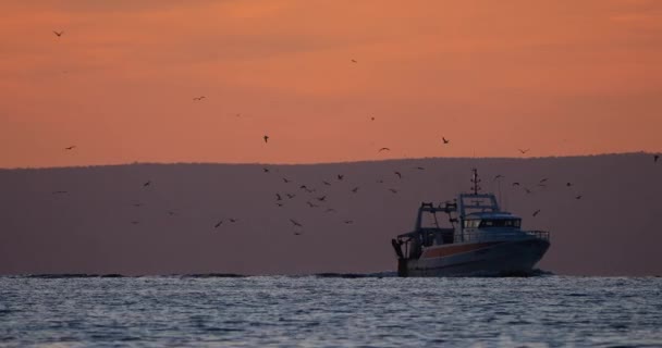 Barcos Pesca Que Regresan Puerto Atardecer Francia Metraje De Stock Sin Royalties Gratis