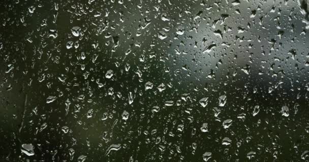 Regen Prasselt Auf Glasfenster — Stockvideo