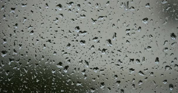 Esőcseppek Üvegablakokon — Stock videók