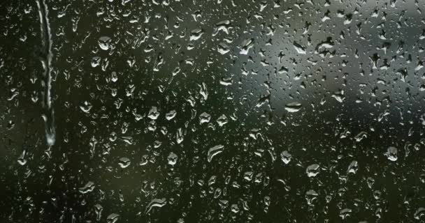 Pioggia Che Cade Sulle Finestre Vetro — Video Stock
