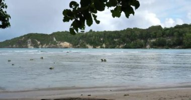 Petit Havre Plajı, Le Gosier. Grande Terre, Fransız Batı Hint Adaları, Guadeloupe