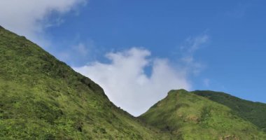 Fümerollü Soufriere volkanı, Guadeloupe, Fransız Karayip adası