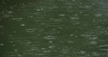 Fırtına sırasında yağmur yağıyor