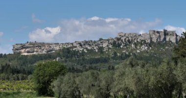 Üzüm bağları ve zeytin ağaçları, Les Baux de Provence, Fransa