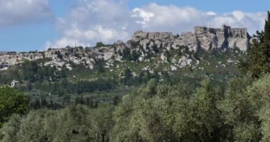 Üzüm bağları ve zeytin ağaçları, Les Baux de Provence, Fransa