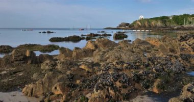 Yabani midyeler, Le Pouldu, Finistere Bölümü, Brittany, Fransa