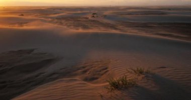 Gün batımında güçlü rüzgar kumsalda Espiguette, Camargue, Fransa