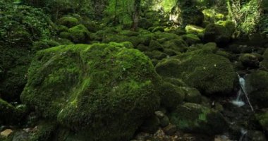Pecher pınarı, Florac, Cevennes Ulusal Parkı, Lozere Dpartment, Occitania, Güney Fransa