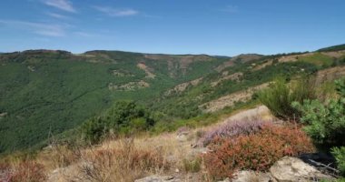 Castelviel arması, Cevennes Ulusal Parkı, Lozere Bölümü, Fransa.