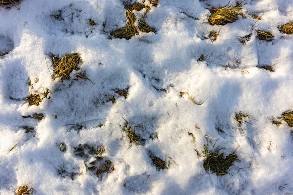 Güneşli Bir Günde Kışın Çimenlerin Altında Erimiş Çatlaklarla — Stok fotoğraf