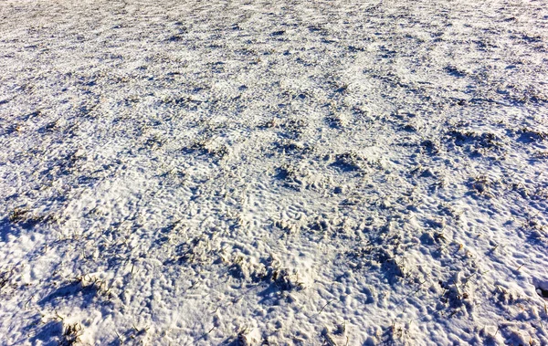 Paesaggio Invernale Con Prato Sotto Neve Vista Diurna Lontananza — Foto Stock