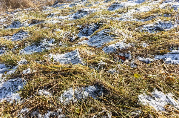 Χειμώνας Ηλιόλουστη Ημέρα Παλιά Ξηρό Γρασίδι Καλύπτονται Χιόνι Κοντά Φόντο — Φωτογραφία Αρχείου