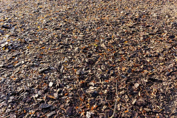 Wood chip bark mulch texture background in autumn with fallen leaves and twigs