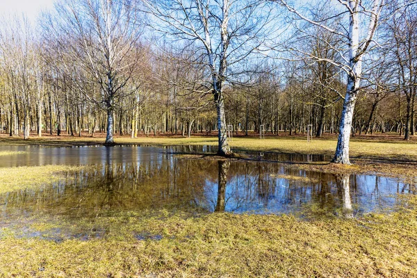 Early Spring View Park Reflections Melted Snow Water Sunny Day — Stock Photo, Image