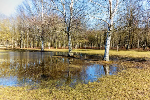 Vroeg Het Voorjaar Uitzicht Het Park Met Reflecties Schaduwen Het — Stockfoto
