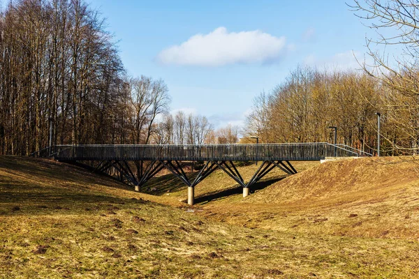 Vorfrühling Fußgängerbrücke Mit Metallgeländer Stadtpark Sonnigem Tag Seitenansicht — Stockfoto