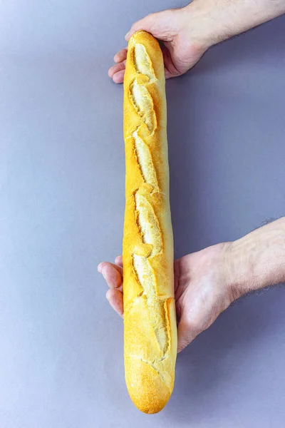 Verse Lange Franse Stokbrood Met Inkepingen Krokante Gouden Korst Vastgehouden — Stockfoto
