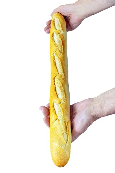 Verse Lange Gesneden Franse Stokbrood Met Krokante Gouden Korst Vastgehouden — Stockfoto