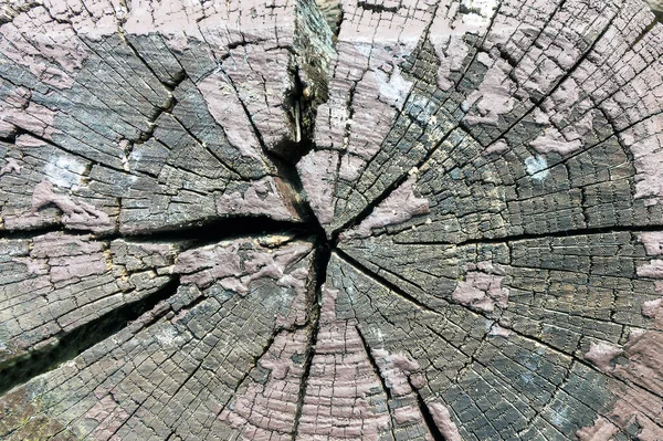 Вид Зверху Макрос Старого Темно Сірого Дерева Знайдено Зверху Фарбою — стокове фото