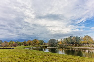 Park üzerinde gölcüklü ve bulutlu gökyüzü arka planlı sonbahar renkli ağaçlar. Panevezy 'ler. Litvanya. 19 yaşında. - 10. 2023.