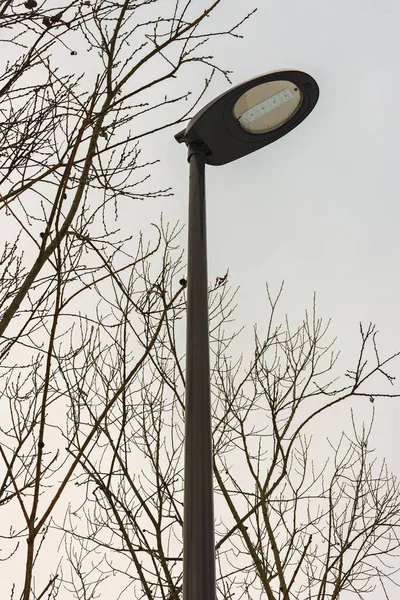 LED lamp on metal pole in park with gray sky background during winter