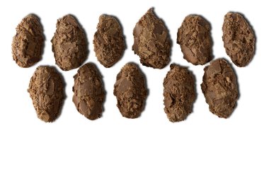 Beyaz arka planda izole edilmiş sütlü çikolata parçalarıyla kaplı Belçika çikolatalı mantarları.