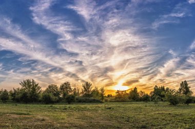 Yumuşak bulutlarla dolu sakin bir akşam gökyüzü, sakin yeşil bir tarlanın üzerine yumuşak bir parıltı yayarken, ılık günbatımı uzun ağaçları aydınlatırken, huzurlu bir güzellik ve doğal dinginlik manzarası yaratıyor..