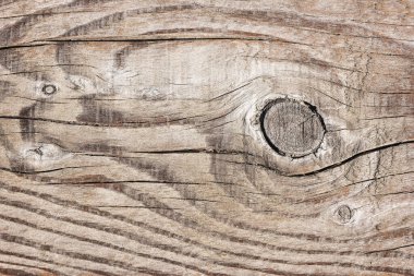 Köhne ahşap dokuda eşsiz dallar ve arka plan olarak ince detaylar var.