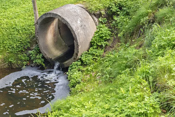 Çimen seti üzerinde büyük bir beton drenaj borusu bulunmaktadır. Kısmen sudadır, yeşil çimenler, bitkiler ve ağaçlarla çevrilidir, su yavaşça akar..