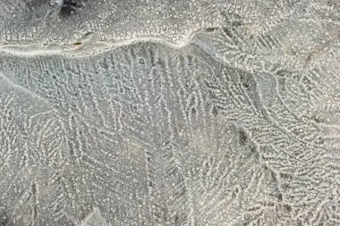 Su birikintisi, doğanın elementleri tarafından oluşturulan karmaşık buz kalıplarını gösteriyor. Doku yumuşak sabah ışığında vurgulanmış, doğanın sanatını gösteriyor..